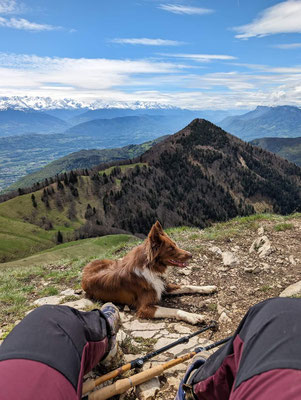 randonneur avec son chien au massif du Sancy 