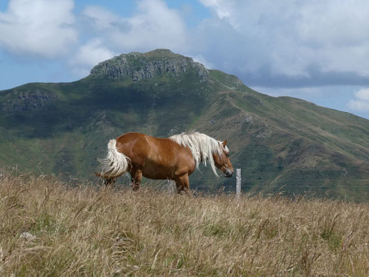Massif du Cezallier