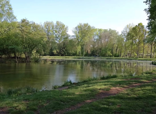 étang de pêche en Auvergne