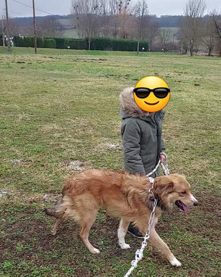 coaching canin kid