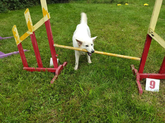 Agility