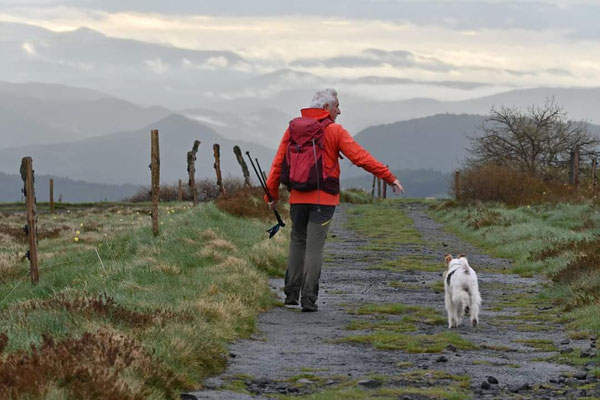 randonneur avec chien sur un sentier auvergnat