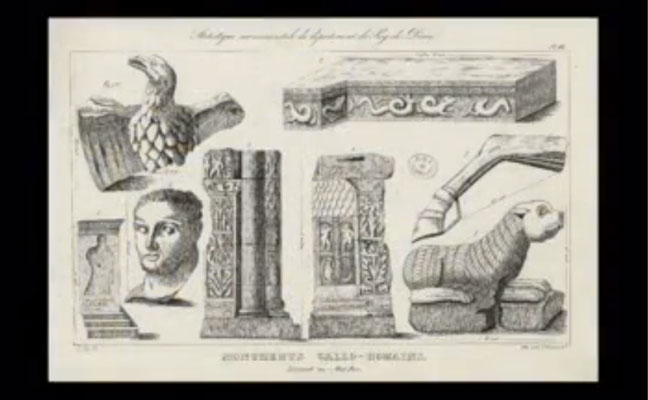 études des lionnes du Mont-Dore