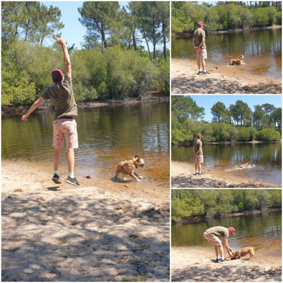 un homme jouant avec ses chiens pendant les vacances
