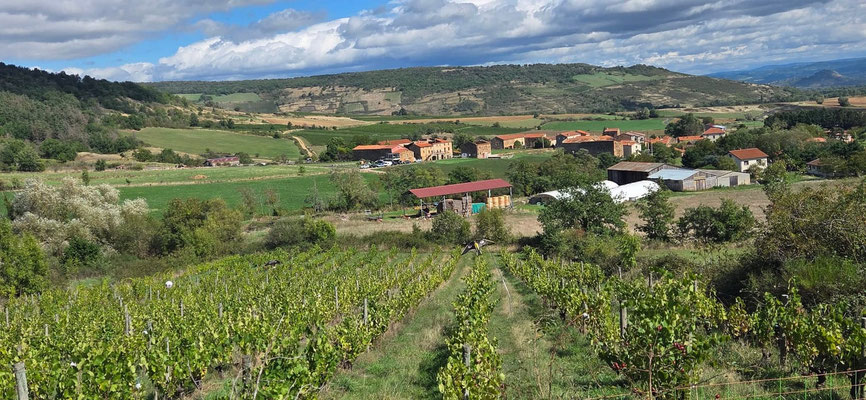 rang de vignes et village de Boudes dans les Côtes d'Auvergne