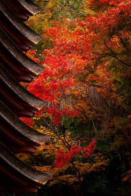 談山神社紅葉