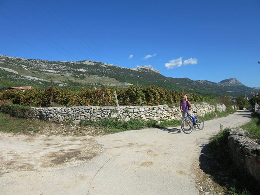 Пешие и велосипедные прогулки в районе Сплита, Каштела и Трогира