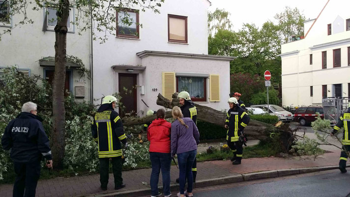 Klicken zum Vergrößern 