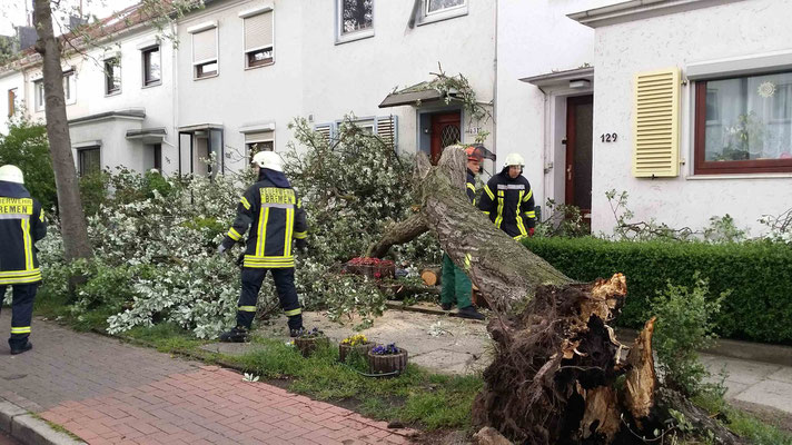 Klicken zum Vergrößern