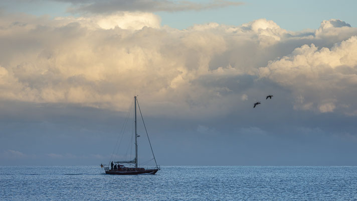 Segelboot vor Morgenhimmel