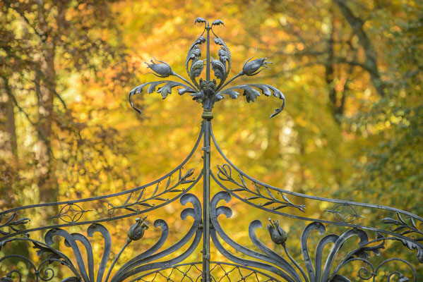 Rheine Herbst in Bentlage