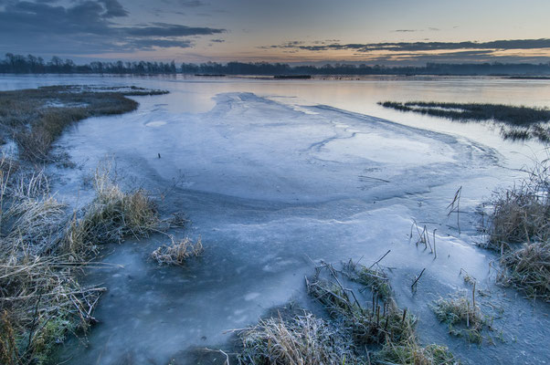 Winter in den Rieselfeldern