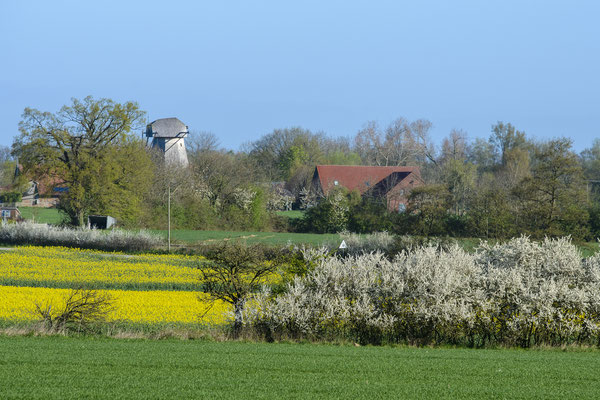 Frühling im Münsterland
