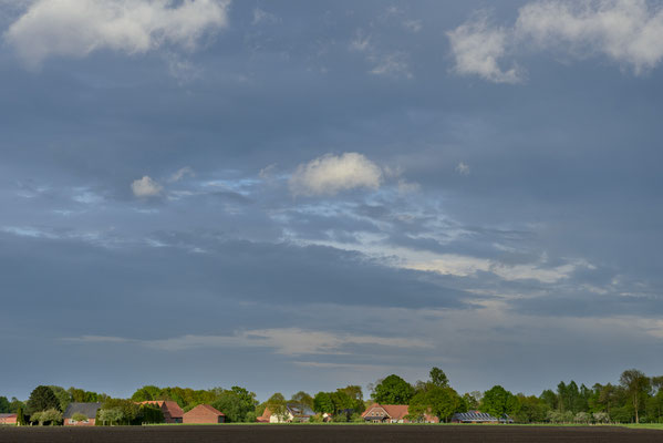 Rheine Altenrheine Felder im Frühjahr