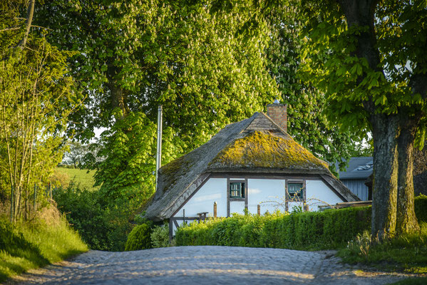 Dorfstraße in Nardevitz, Frühling 2017