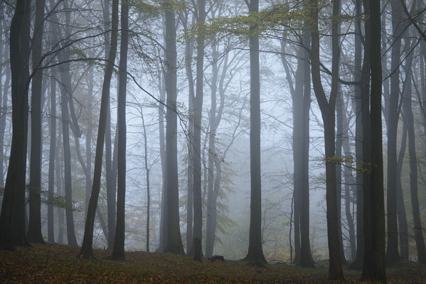 Stubnitz/Rügen