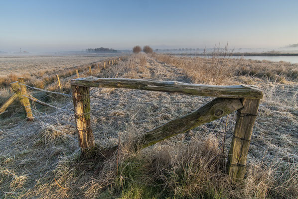 Winter in den Rieselfeldern