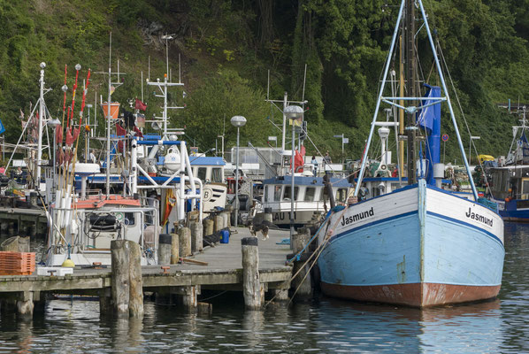 Hafen Sassnitz