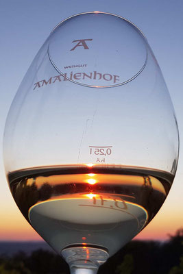 Sonnenuntergänge, Weinglas, Weingut Amalienhof, Heilbronn, Deutschland - sunsets, wine glas, vinery Amalienhof, Heilbronn, Germany