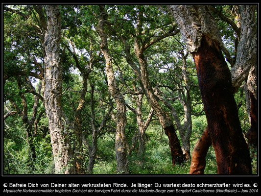 Kalender SIZILIEN - April