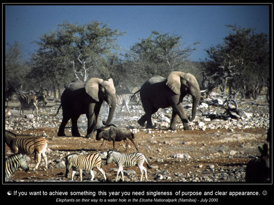 Calendar SOUTHERN AFRICA - January