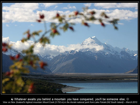 Calendar NEW ZEALAND - January