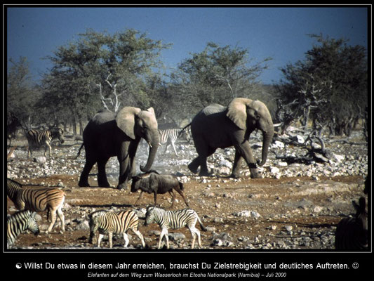 Kalender AFRIKAs SÜDEN - Januar