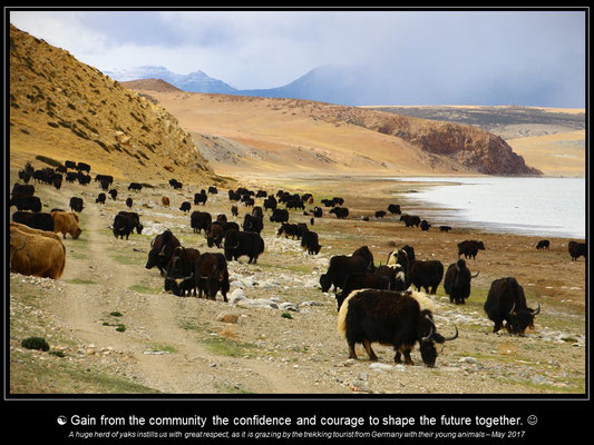 Calendar TIBET - April