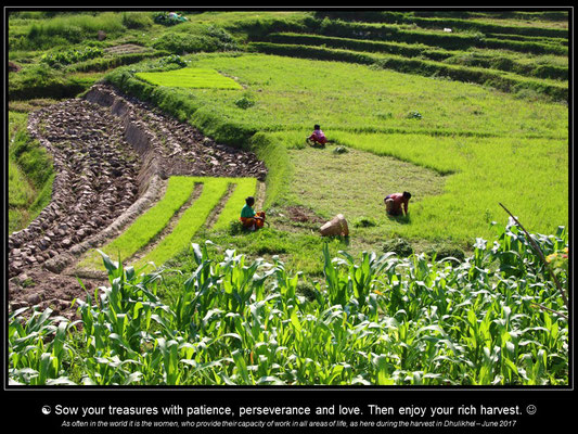 Calendar TIBET - June