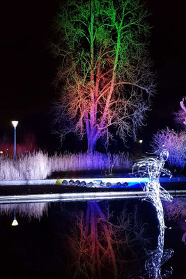 Stimmungen, Beleuchtung, Läufer, Luisenpark, Mannheim, Deutschland - atmospheres, lightning, runner, Luisenpark, Mannheim, Germany