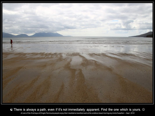 Calendar IRELAND - January
