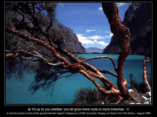 Calendar LAND of INCAS - June