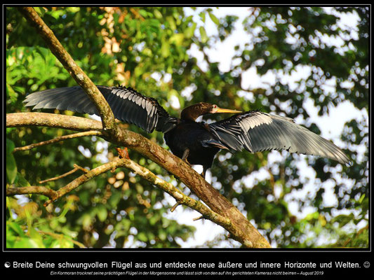Kalender COSTA RICA - November