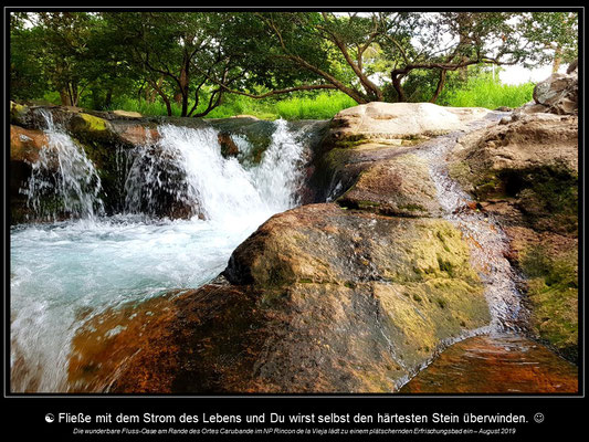 Kalender COSTA RICA - Februar