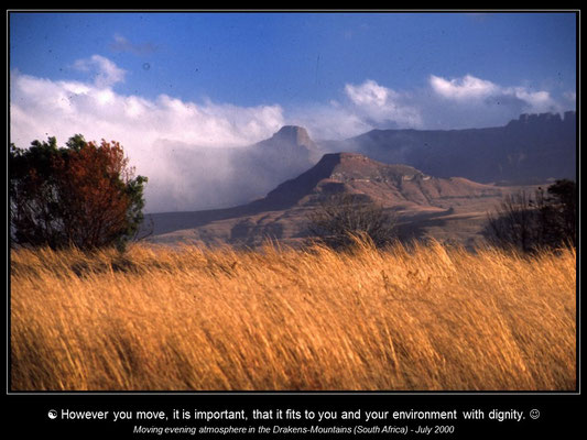 Calendar SOUTHERN AFRICA - November