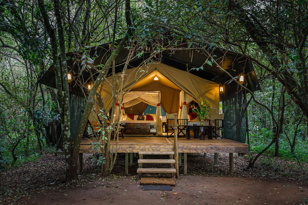 Mara Bush Camp Kenia 