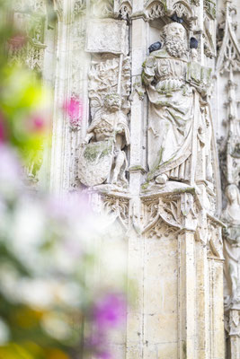 Fotografiert mit Nikon Z8 und Nikkor Z 85mm F/1.2 S in Le Trepore, Frankreich