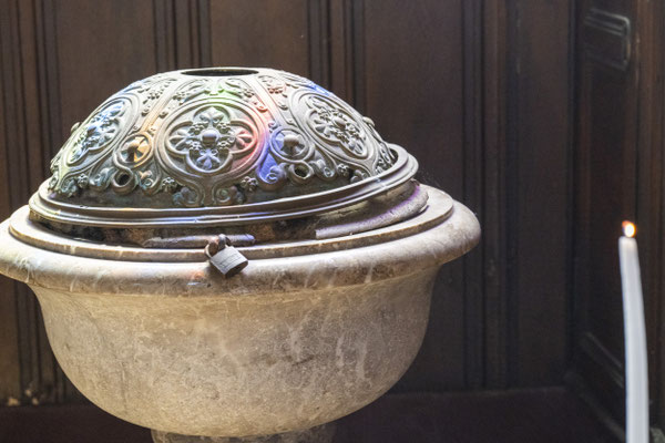 Fotografiert mit Nikon Z8 und Nikkor Z 85mm F/1.2 S in Le Trepore, Frankreich