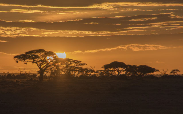 Sonnenuntergang Masai Mara, Kenia
