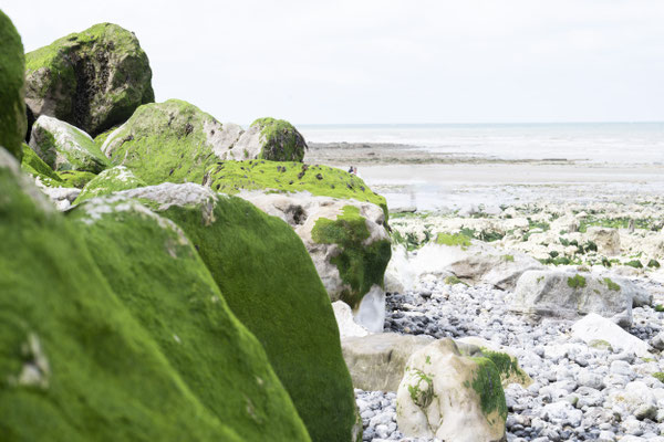 Fotografiert mit Nikon Z8 und Nikkor Z 85mm F/1.2 S