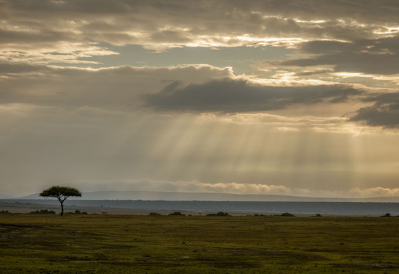 Gewitter Masai Mara, Kenia