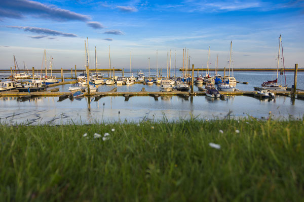 Langeoog_19_05_17_D726773