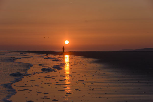 Langeoog_04_17_D726269