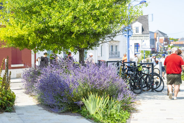 Fotografiert mit Nikon Z8 und Nikkor Z 85mm F/1.2 S in Beauvais, Frankreich