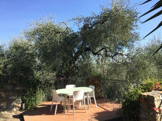 Terrasse vor dem Zimmer Relax