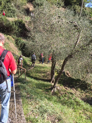 Wanderfreunde auf dem Weg