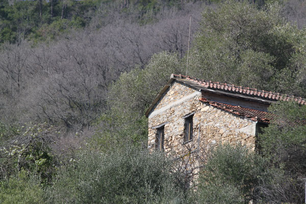 Sicht vom Haus von weitem