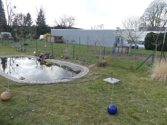 Teich mit neuer Einfassung vor Pflanzplanung