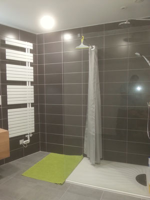 Entreprise en rénovation de salle de bain Spécialisés dans l'agencement de salle de bain à Grenoble 