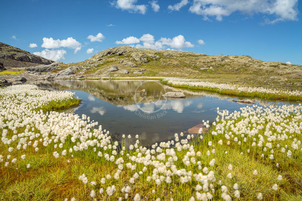 Aurlandsfjellet